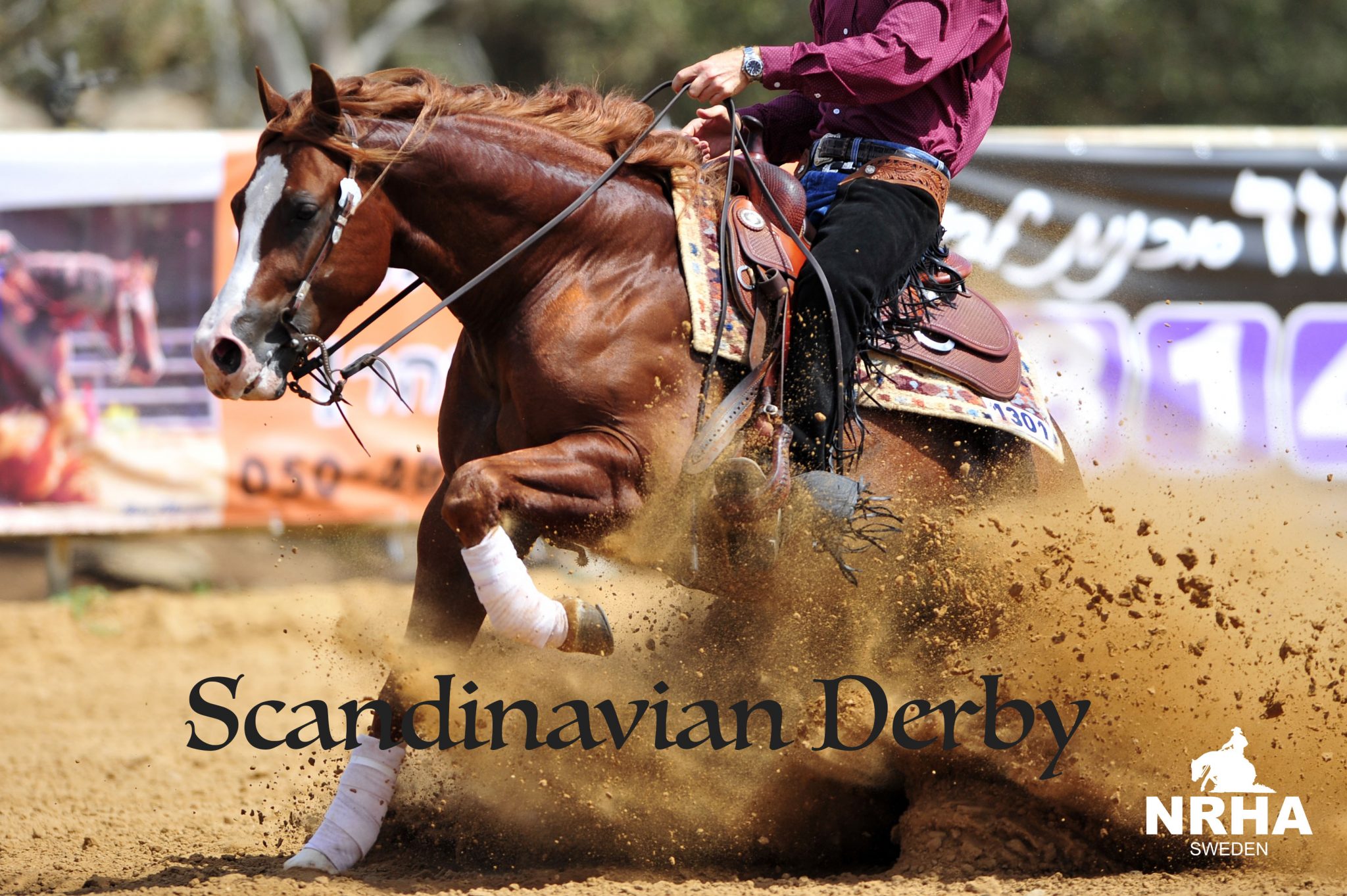 NRHA Scandinavian Derby - NRHA Sweden